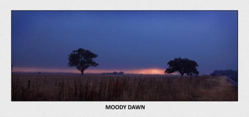 Moody Dawn